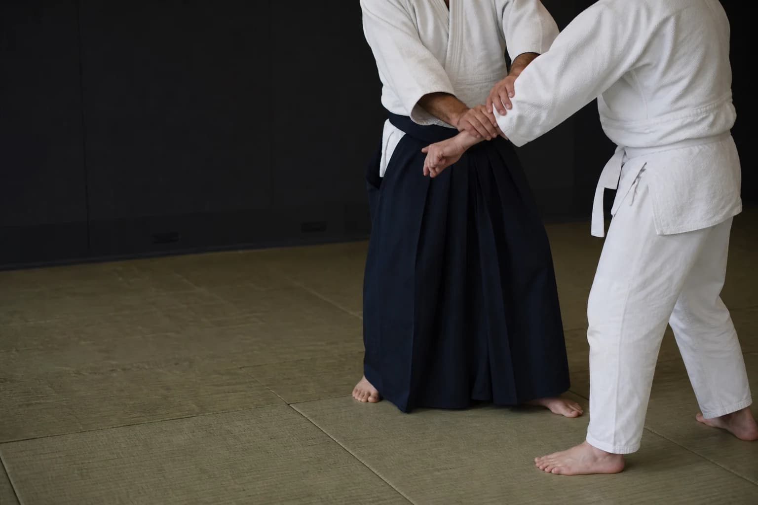 Aikido club training session