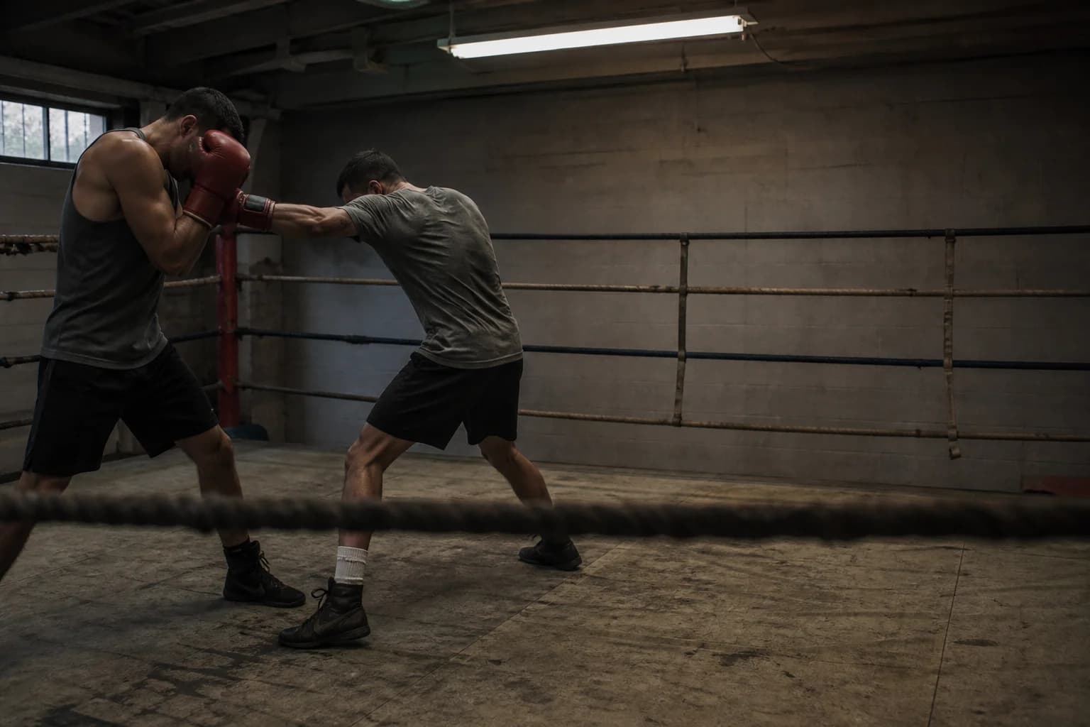 Boxing club training session
