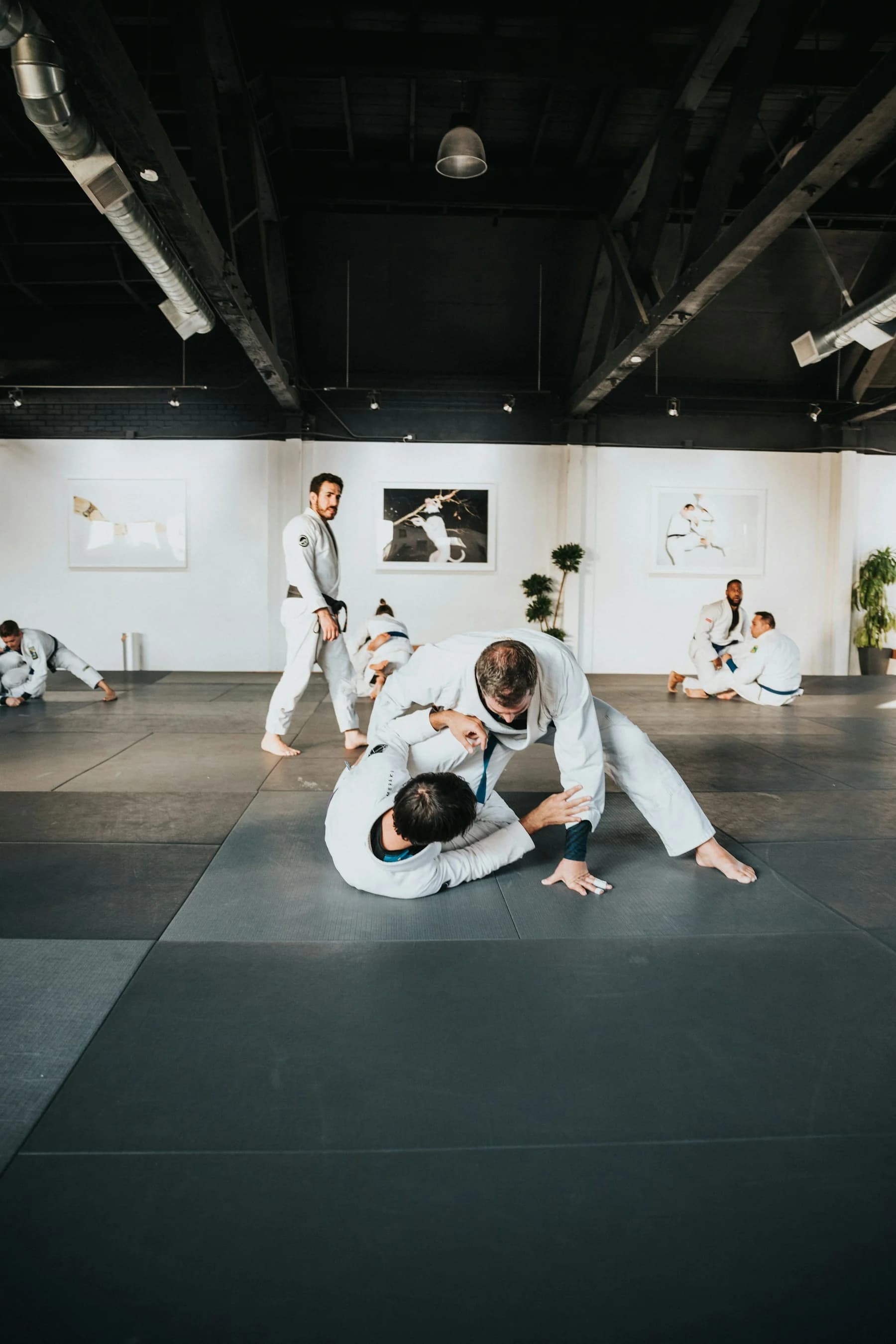 Brazilian Jiu-Jitsu club training session