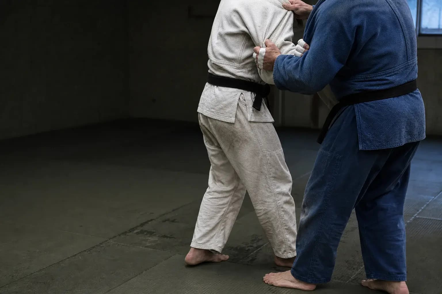 Judo club training session
