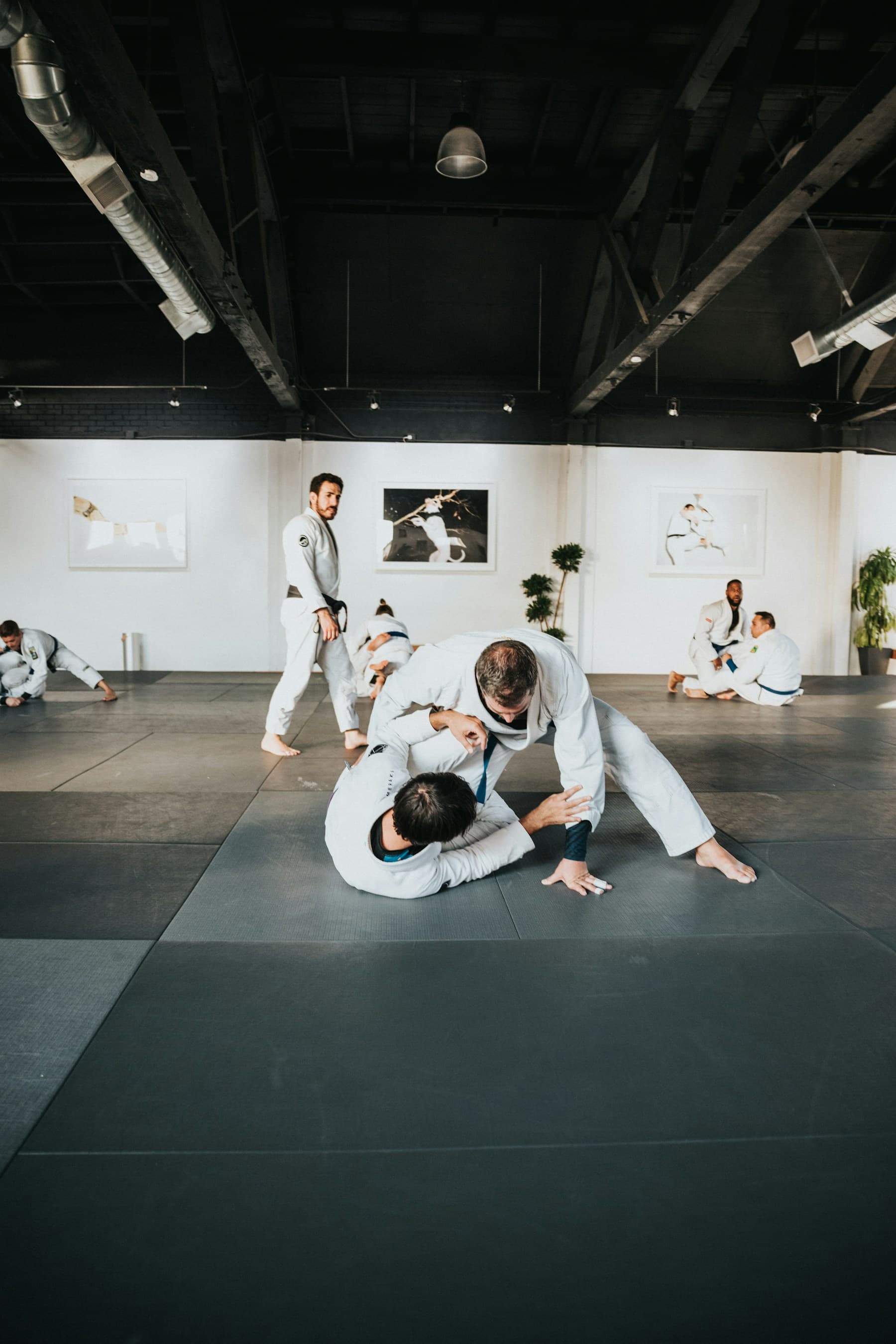 Brazilian Jiu-Jitsu class training on the mats inside an academy